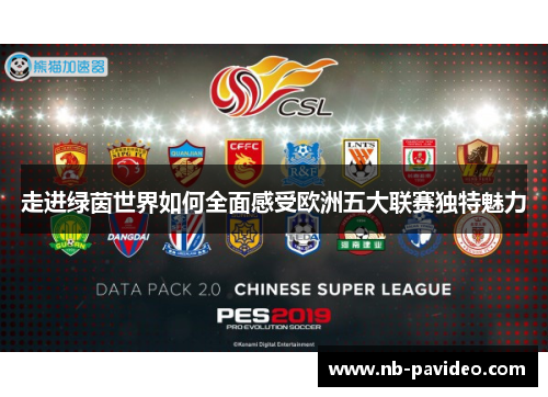走进绿茵世界如何全面感受欧洲五大联赛独特魅力