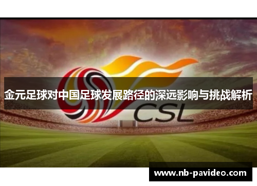 金元足球对中国足球发展路径的深远影响与挑战解析