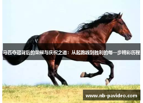 马匹夺冠背后的荣耀与庆祝之道：从起跑线到胜利的每一步精彩历程