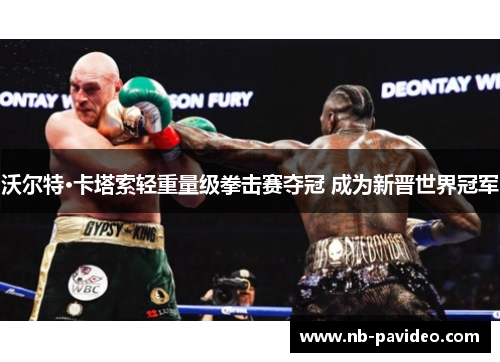 沃尔特·卡塔索轻重量级拳击赛夺冠 成为新晋世界冠军